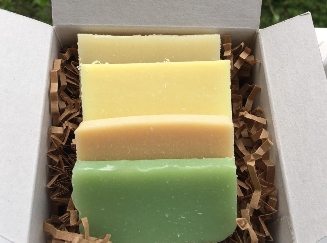 Soap Sample Set