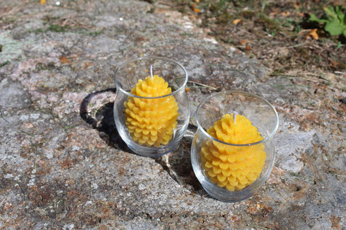 Beeswax Pinecone Votive Candles