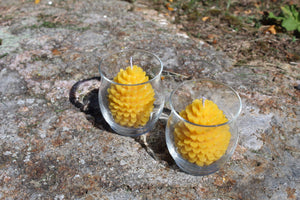 Pure Beeswax Pinecone Votive Candles