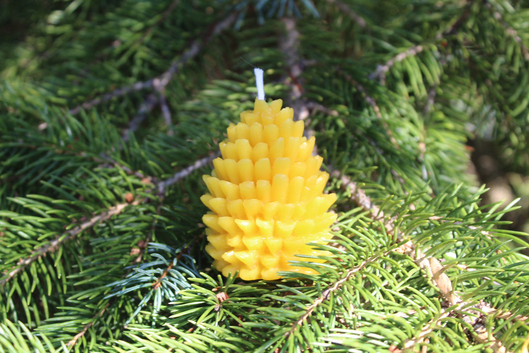 Pure Beeswax Pinecone Votive Candles