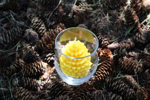 Pure Beeswax Pinecone Votive Candles